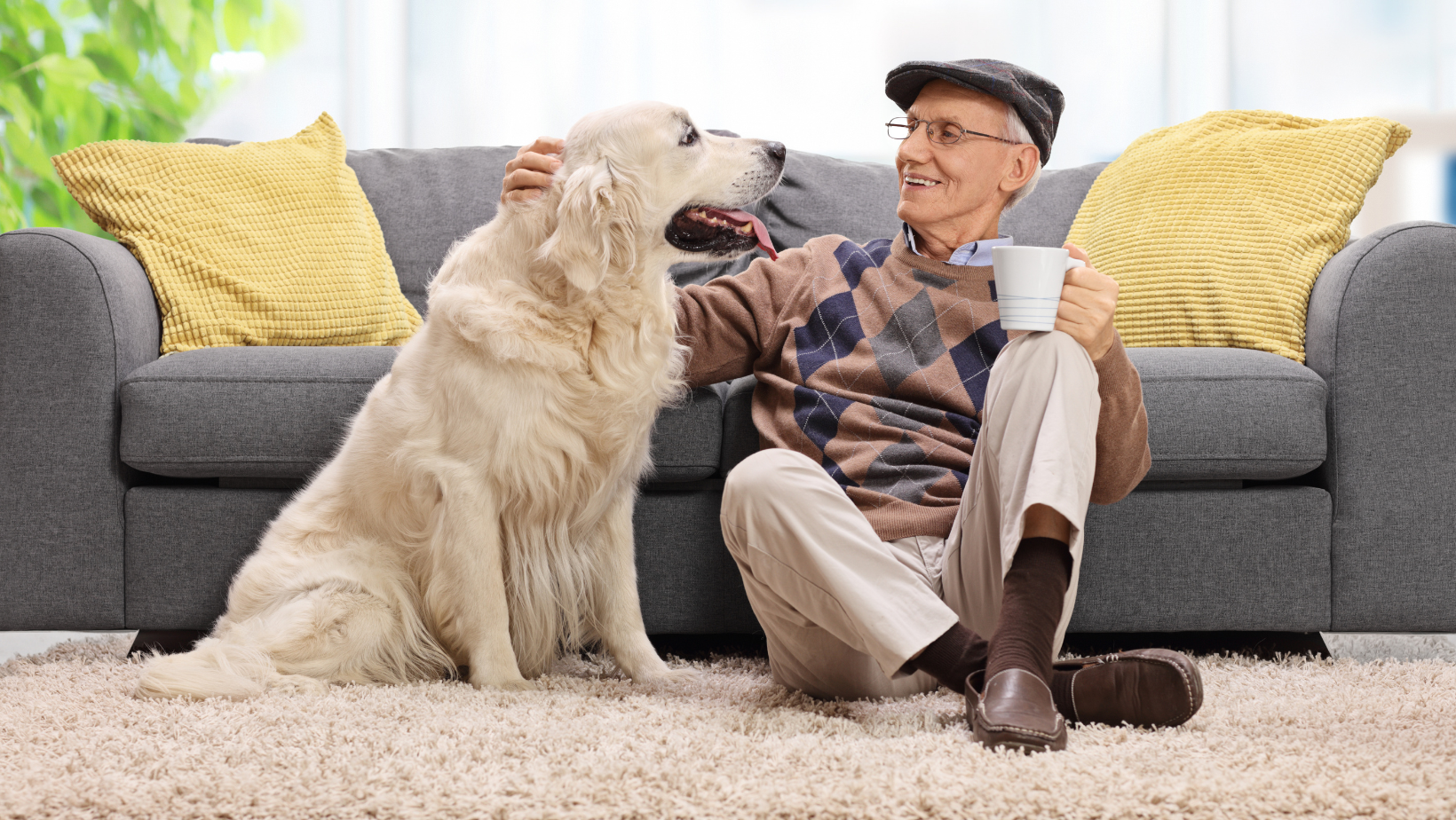 elderly man enjoying his dog